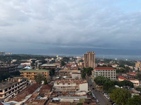 Safari by Leo-莫西必去景点