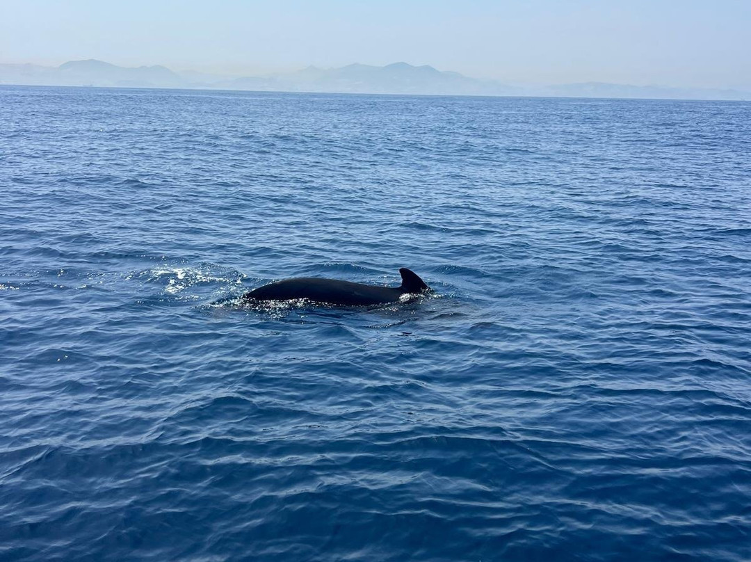 Turmares Tarifa-塔里法必去景点