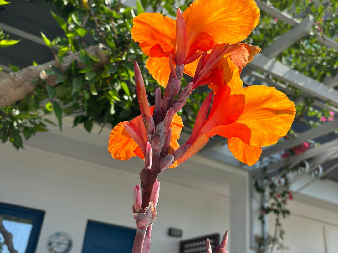 Aspres Apartments主图