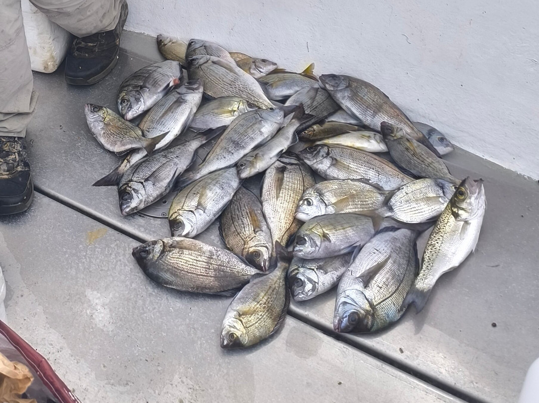 Boat Esmeralda Azul-里斯本必去景点