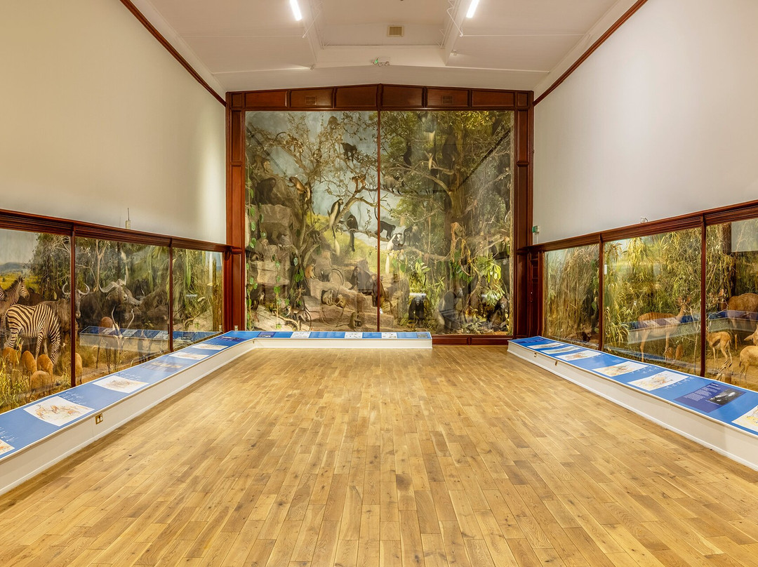 The Powell-Cotton Museum-Birchington必去景点