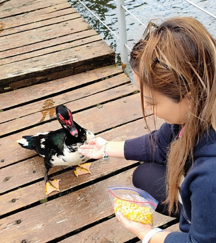 Burbi Lake Lodge主图