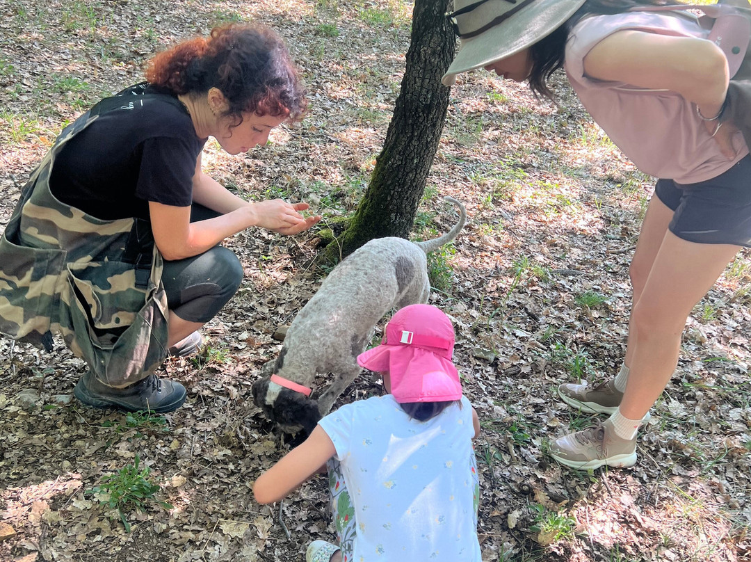 Casole Truffle - Truffle Hunting Experience