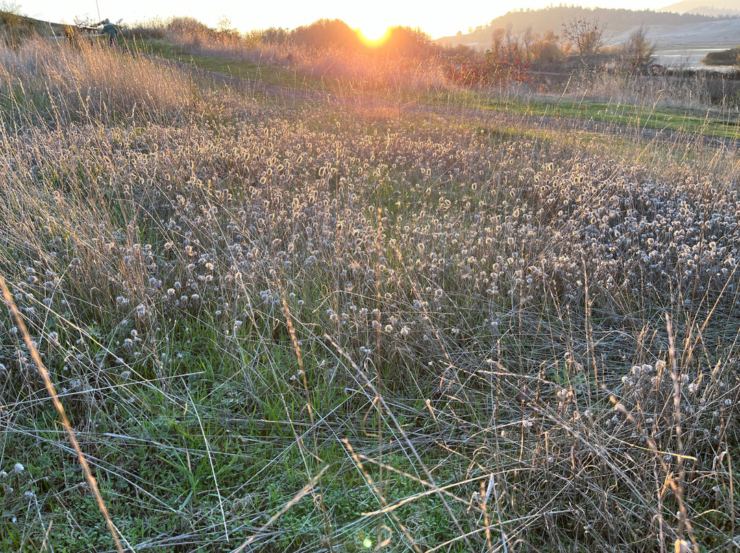 Friends of Ford's Pond-Sutherlin必去景点