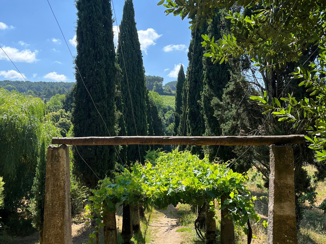 Casa de Mateus-Vila Real必去景点