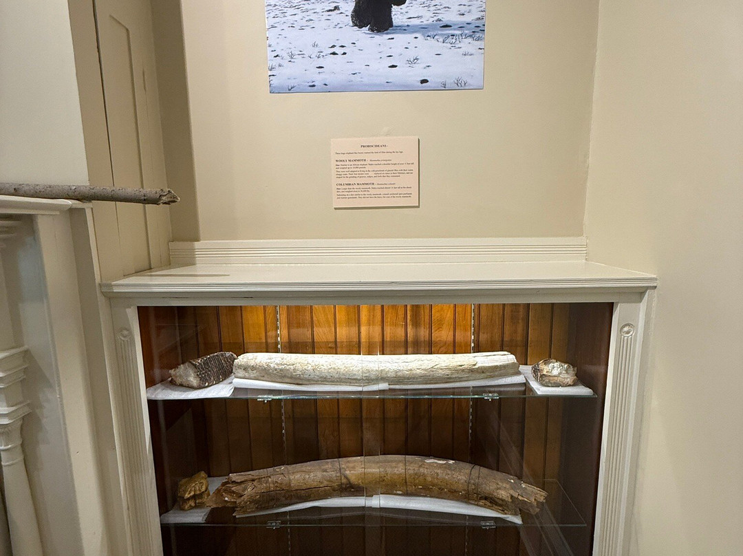 The Ross County Historical Society-Chillicothe必去景点