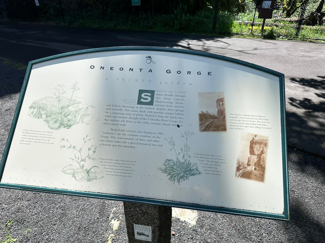 Oneonta Gorge-Cascade Locks必去景点