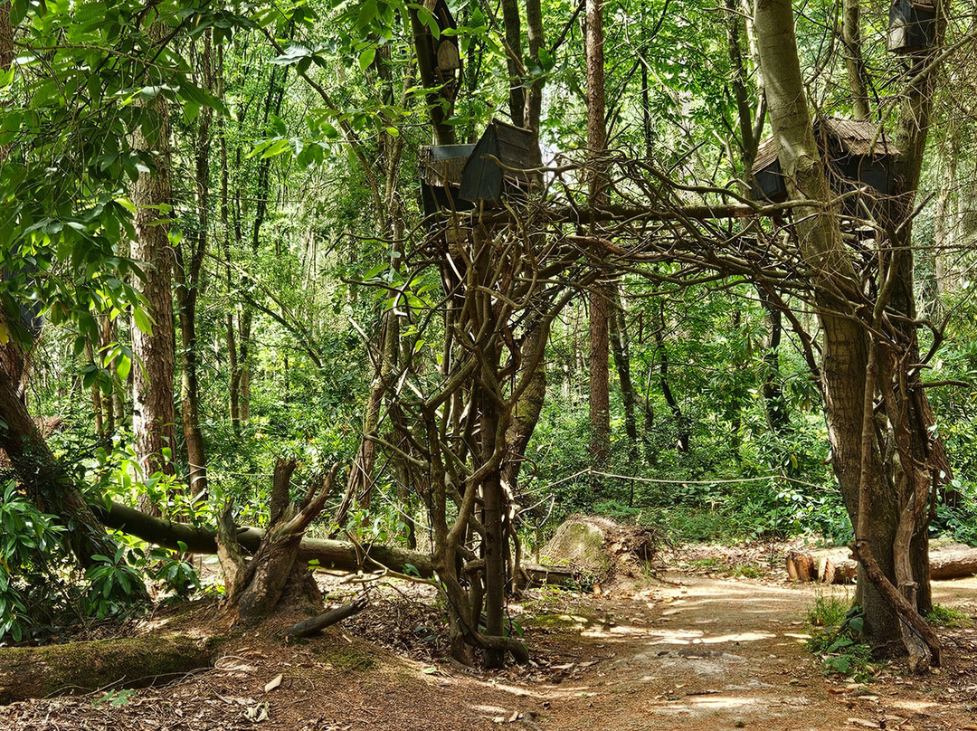 Northwood Trail – England’s Fairy Sanctuary-约克必去景点