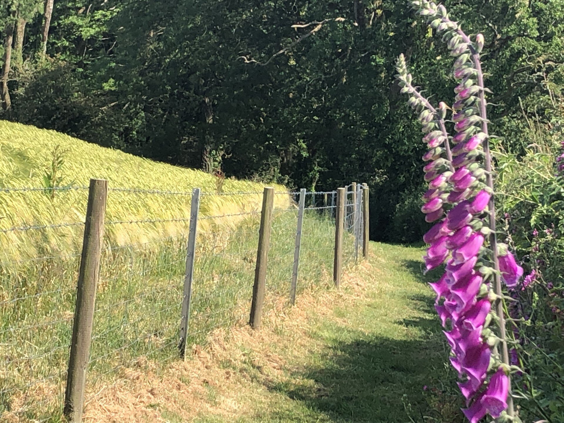 Tregondale Manor Farm-浴室