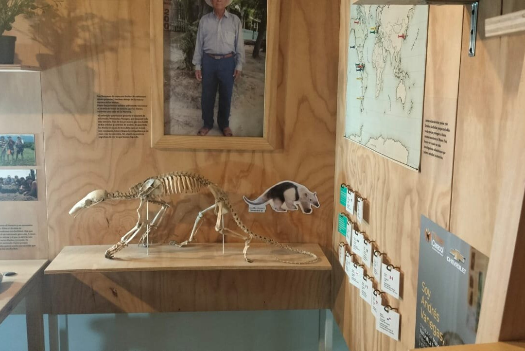 Museo De La Tatacoa-Villavieja必去景点