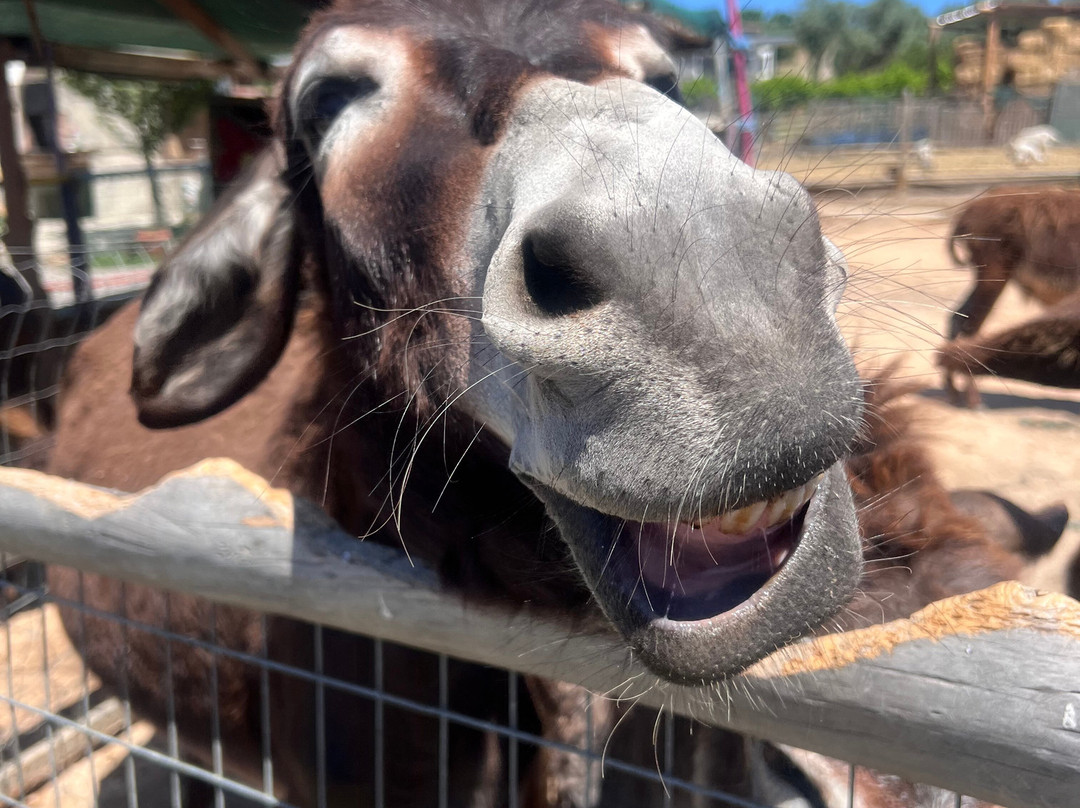 Bees House Rodos-Archipoli必去景点