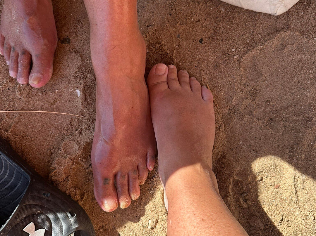 Enjoy Tours Mit Obama-赫尔格达必去景点