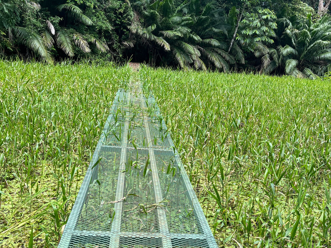 Osa Conservation Campus-希门尼斯港必去景点