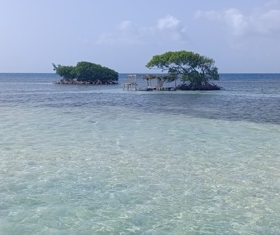 Coco Mambo-Sainte Rose必去景点