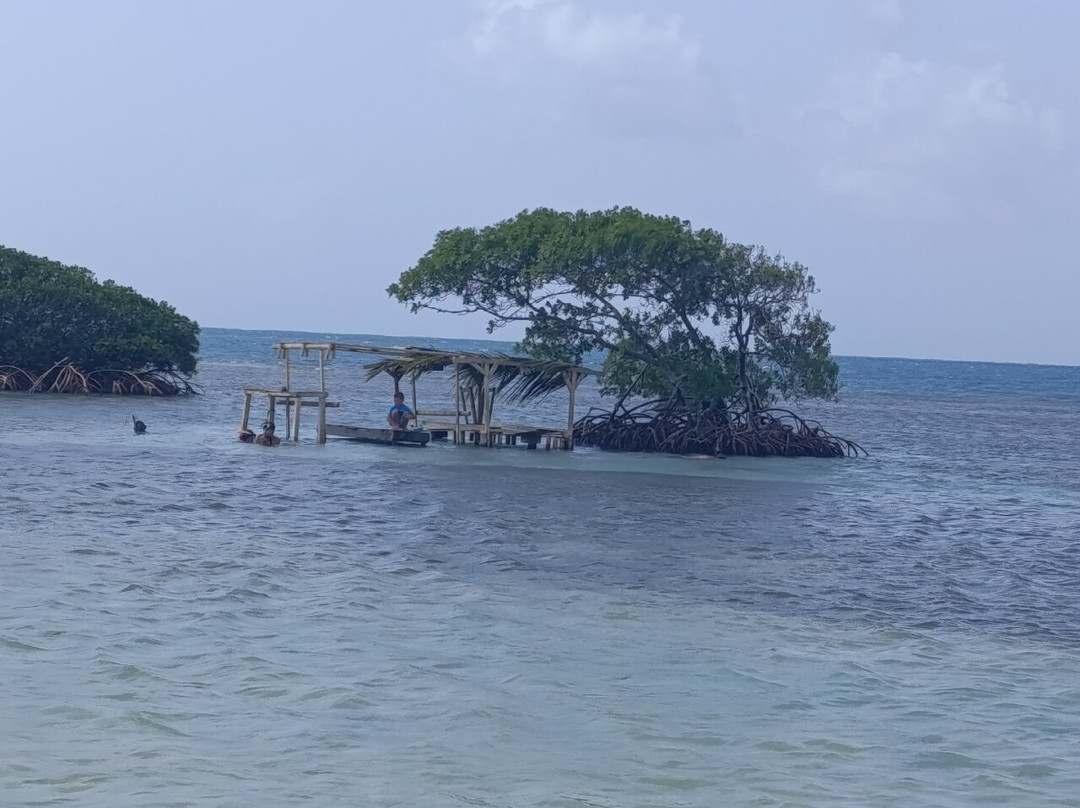 Coco Mambo-Sainte Rose必去景点