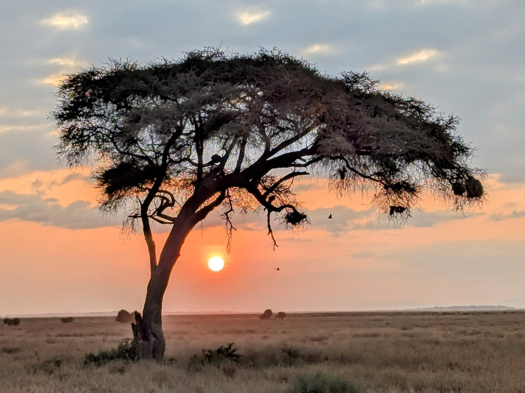 Africa Vision Safaris Tours and Travel-内罗毕必去景点