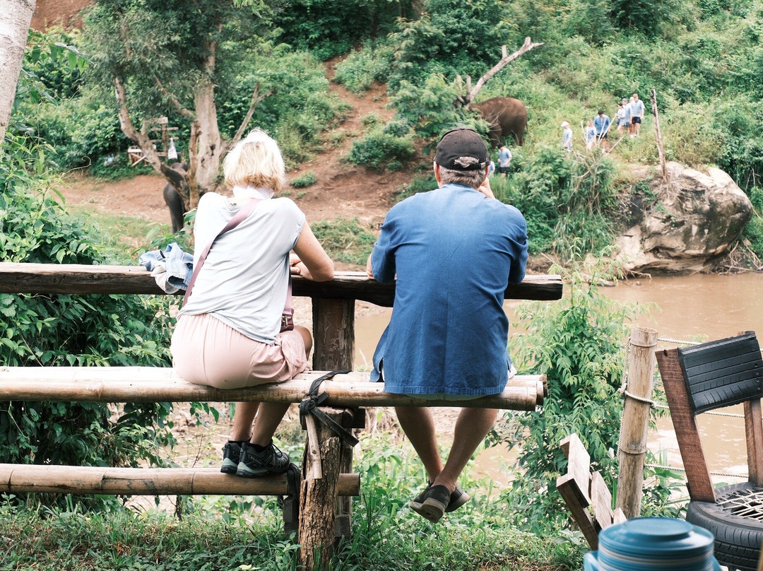 Living Green Elephant Sanctuary-清迈必去景点