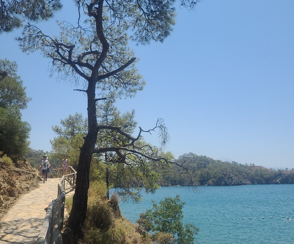 Katrancı Bay Nature Park-Yaniklar必去景点