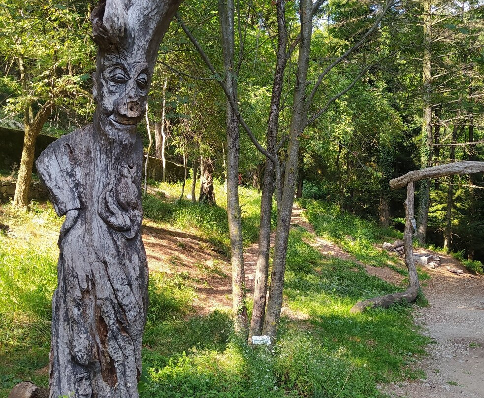Sentiero Spirito del Bosco-Canzo必去景点
