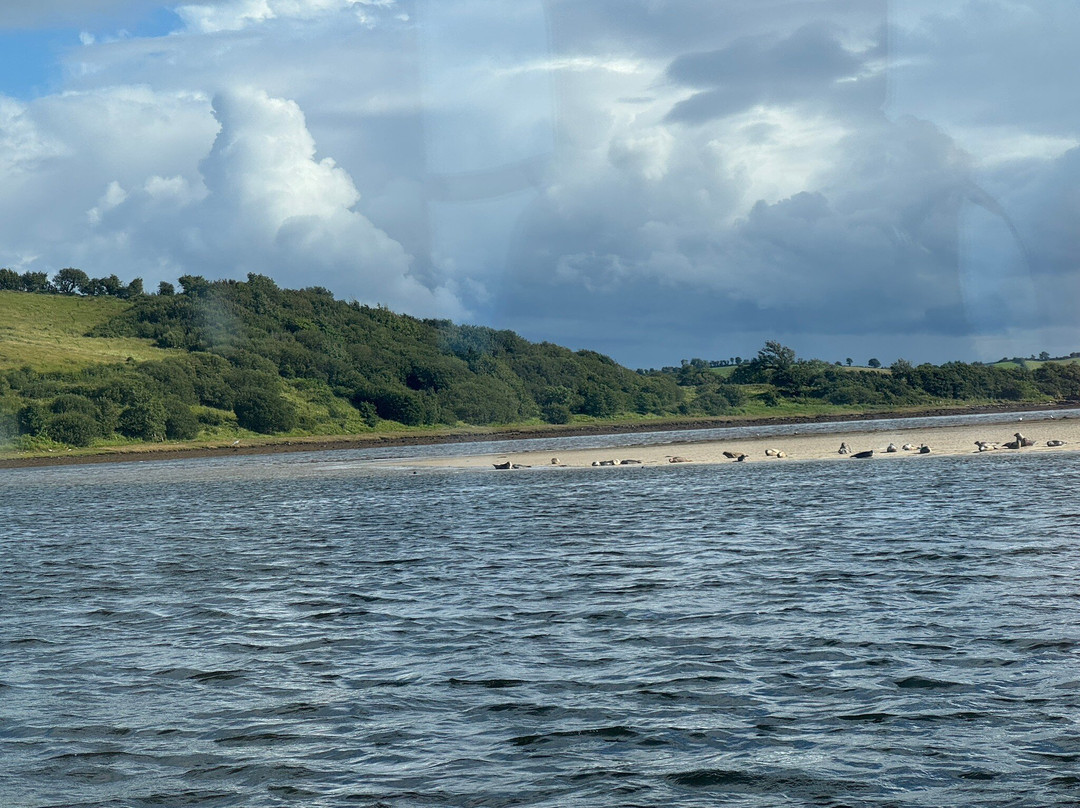 Donegal Bay Waterbus-多尼戈尔城镇必去景点