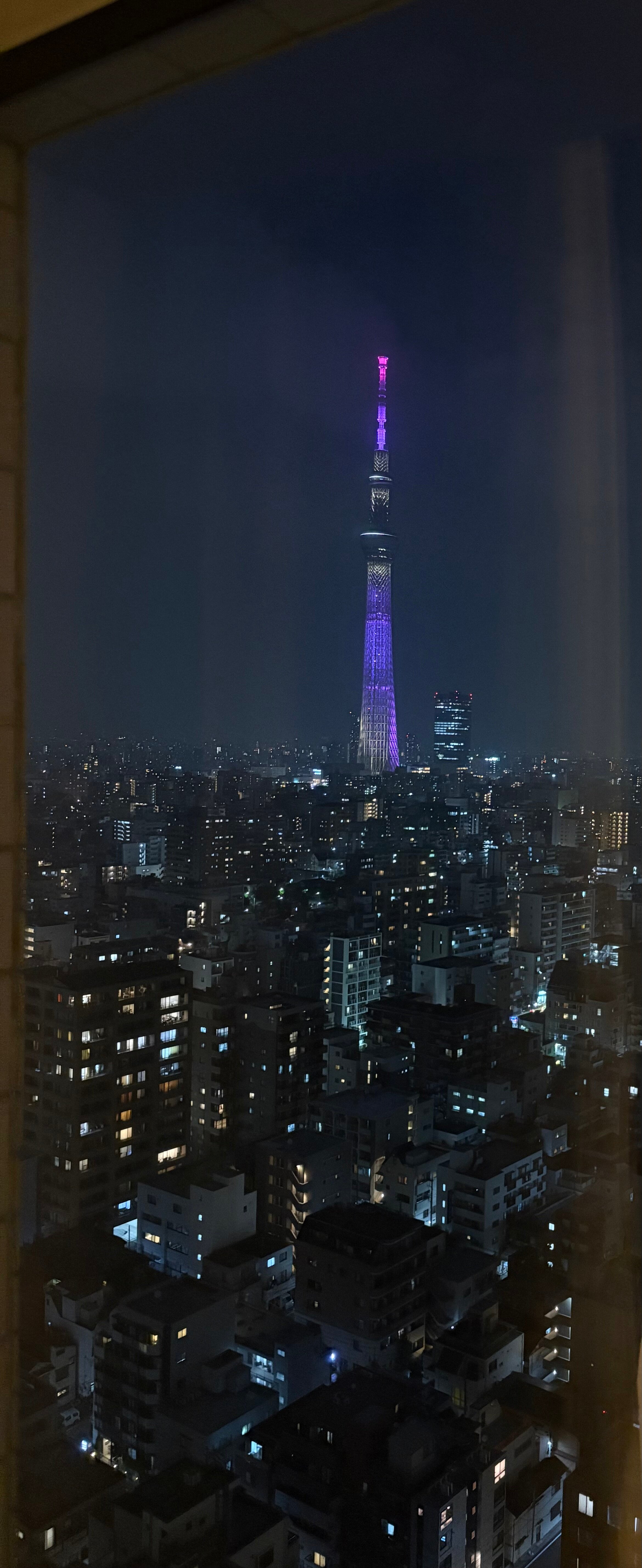 东京两国第一酒店-酒店景观