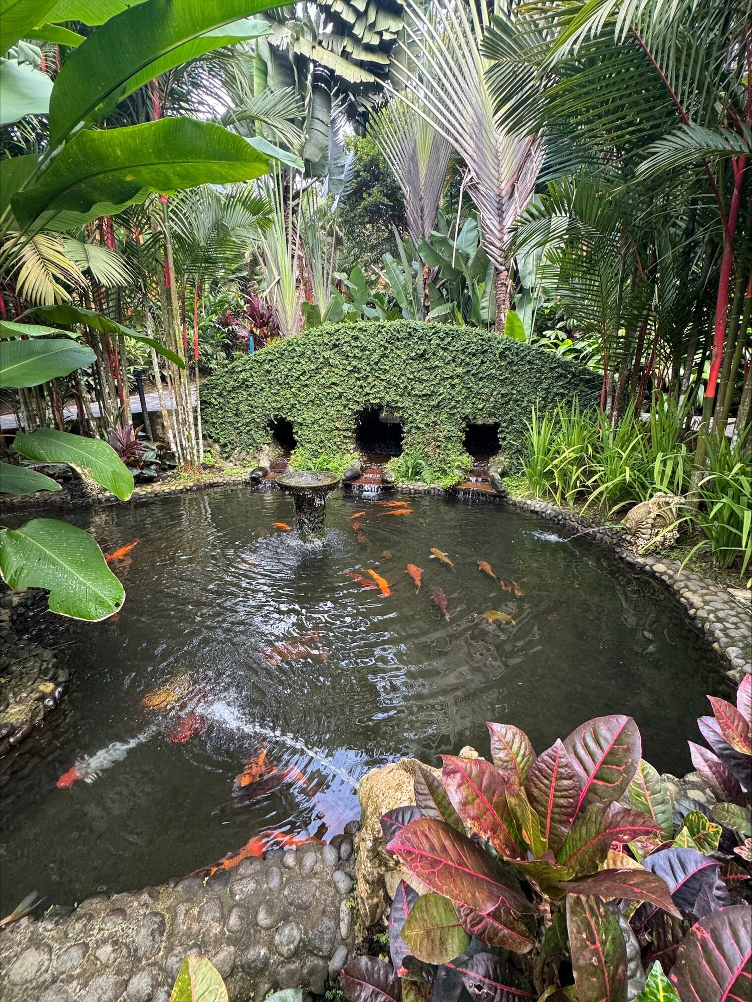 纳雅拉泉酒店-浴室