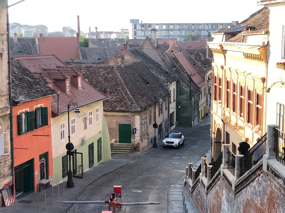 Transylvania Guide Sibiu-锡比乌必去景点