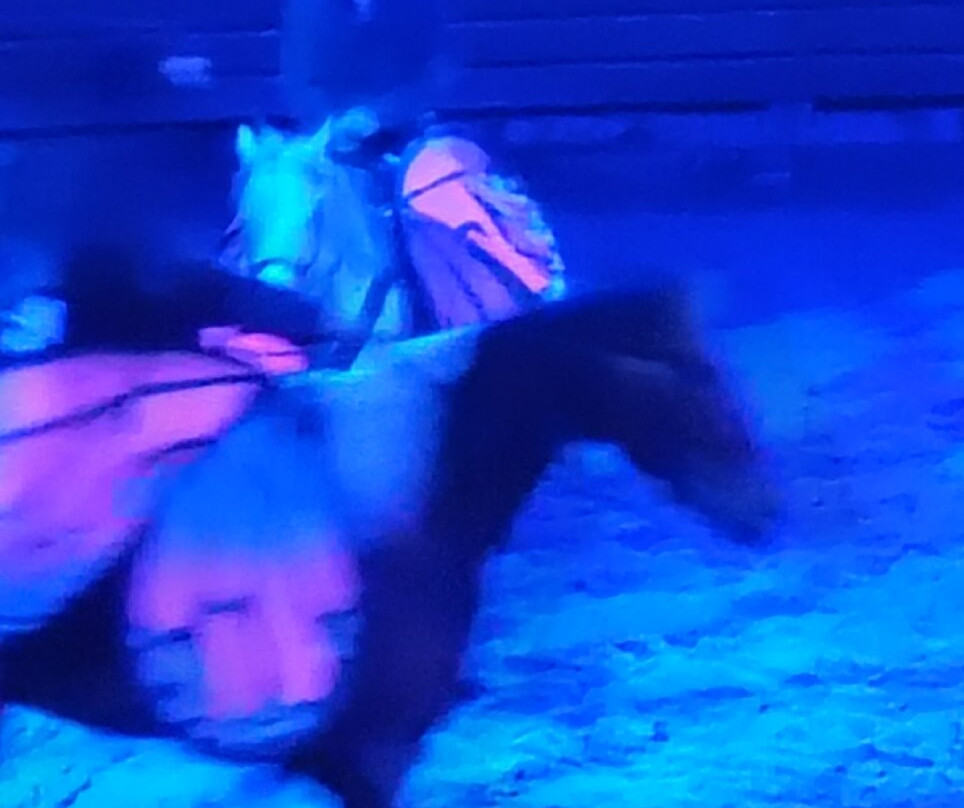 马术歌舞表演餐宴-皮金福奇必去景点