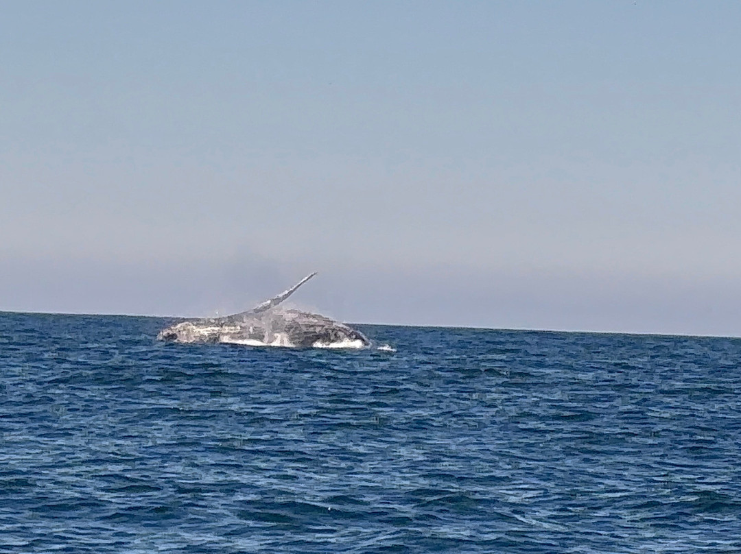 Maremar Turismo-伊利亚贝拉必去景点