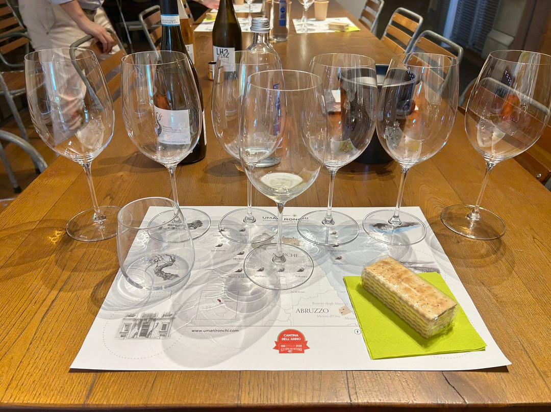 Umani Ronchi Winery-奥西莫必去景点