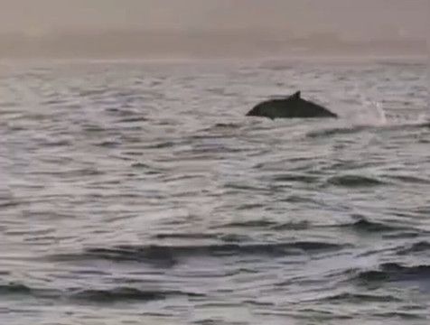 Antonio - Escursioni in Barca-Giardini Naxos必去景点