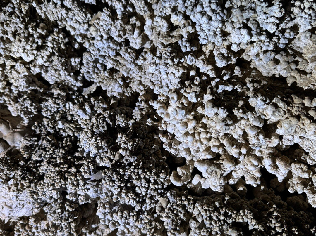 Grutas de São Miguel-博尼图必去景点