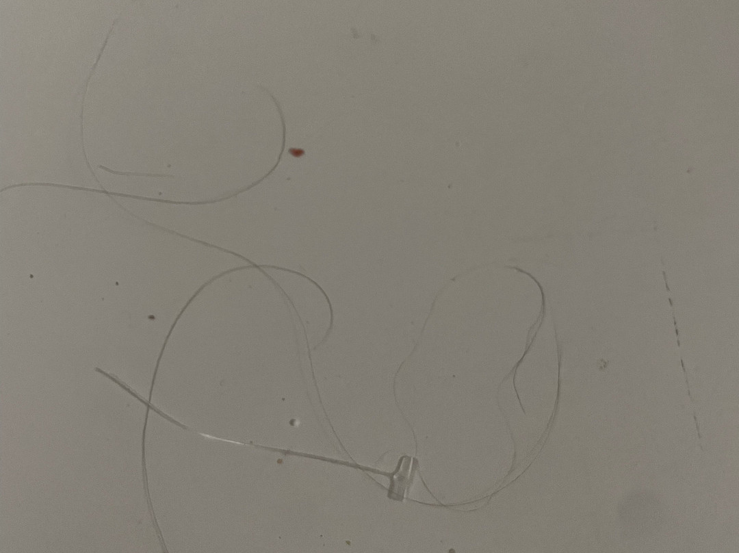 Lantana Resort主图