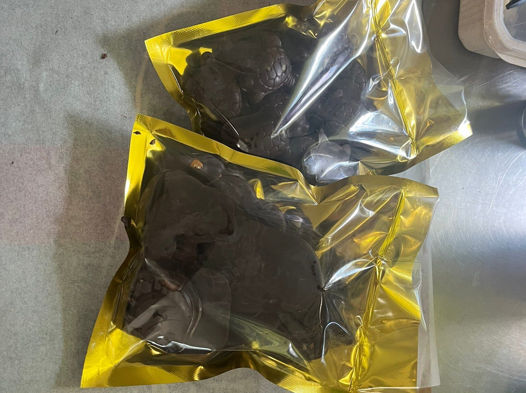 Hilo Shark Tours-帕派科欧必去景点