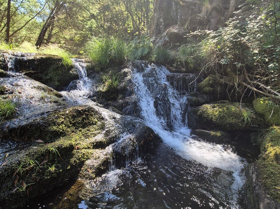 Cascata Do Pincho-Montaria必去景点