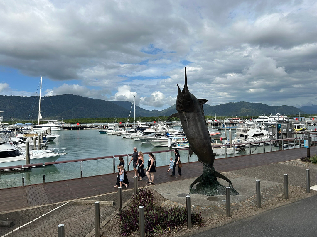 Cairns Private Transfers-道格拉斯港必去景点