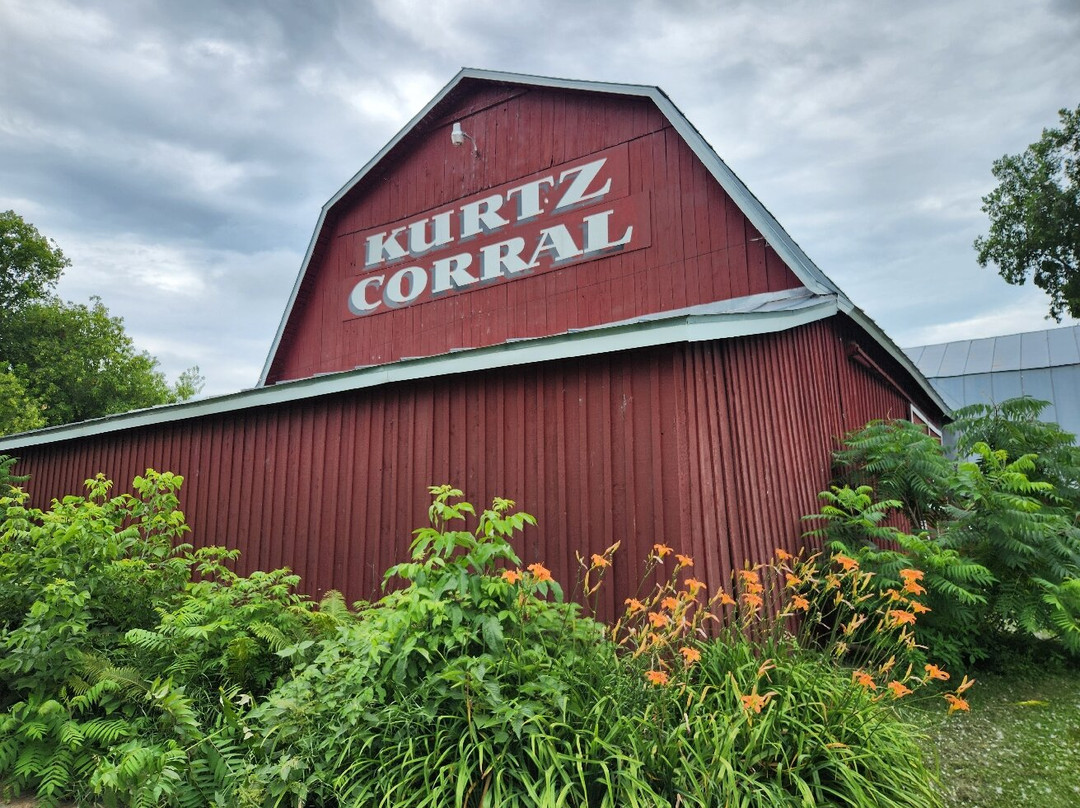 Kurtz Corral-斯特金贝必去景点