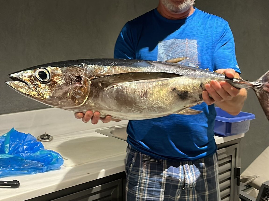 The Angler-帕福斯必去景点