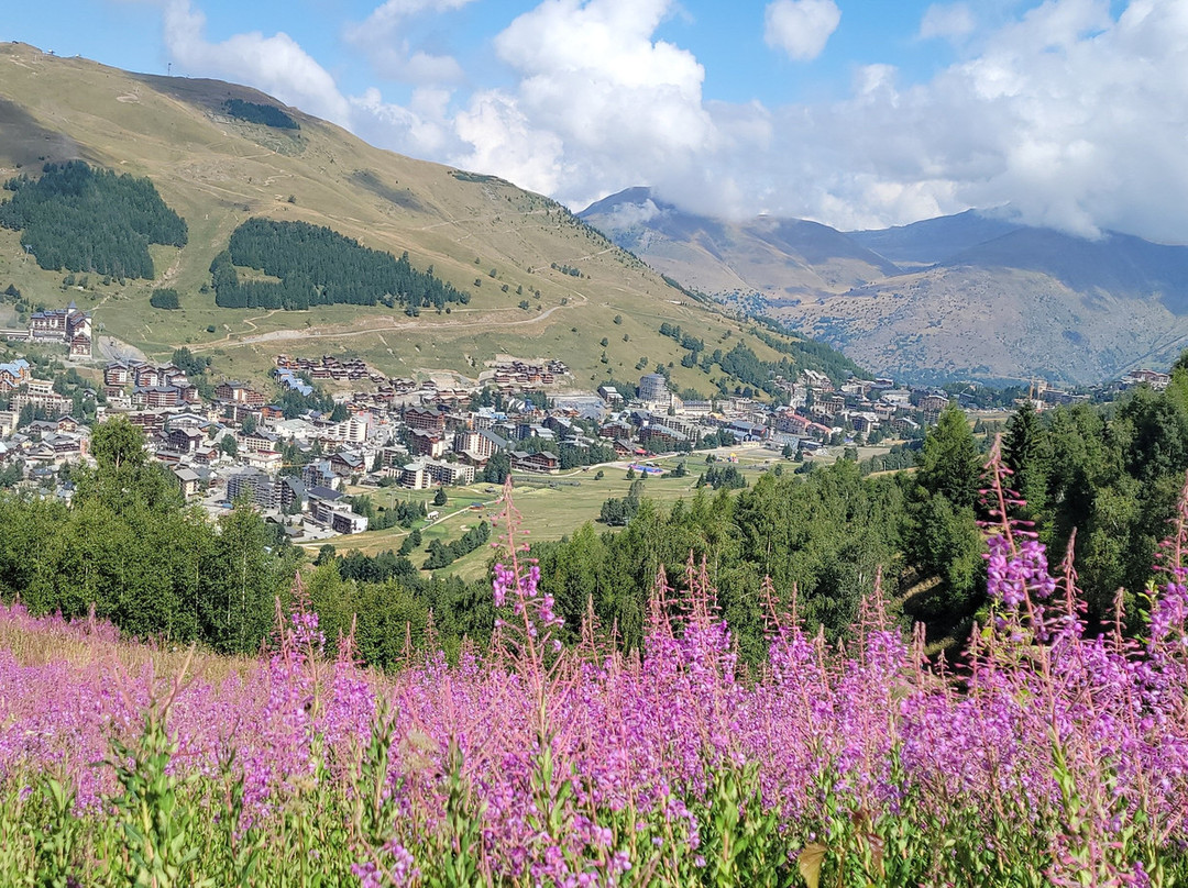 Salon de massage Véronique, place de Venosc-莱德萨阿尔卑斯必去景点