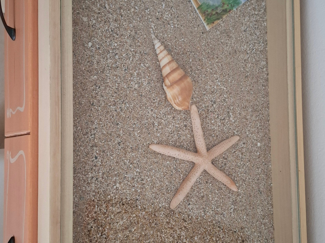 V-Del Mar Hotel主图