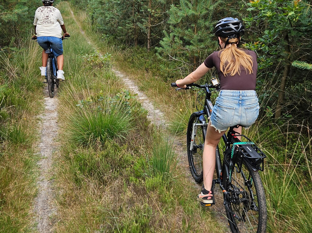 Mountainbiken Op De Veluwe-Emst必去景点