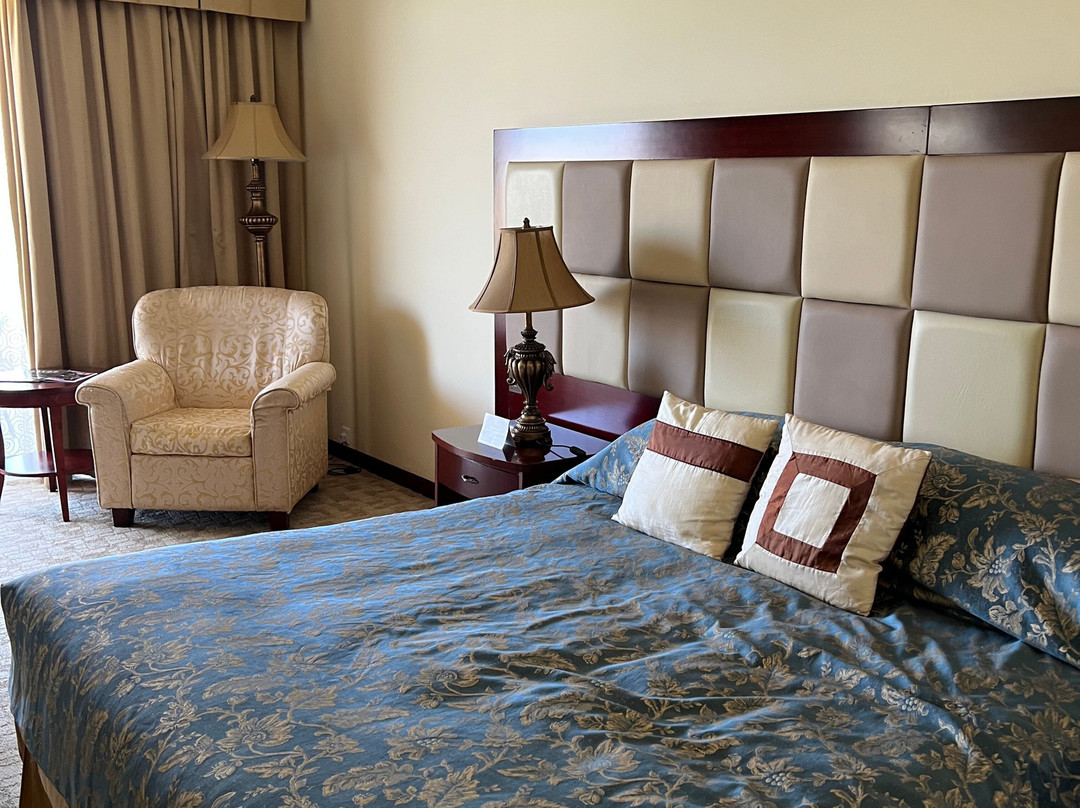 Grand Hotel Excelsior主图