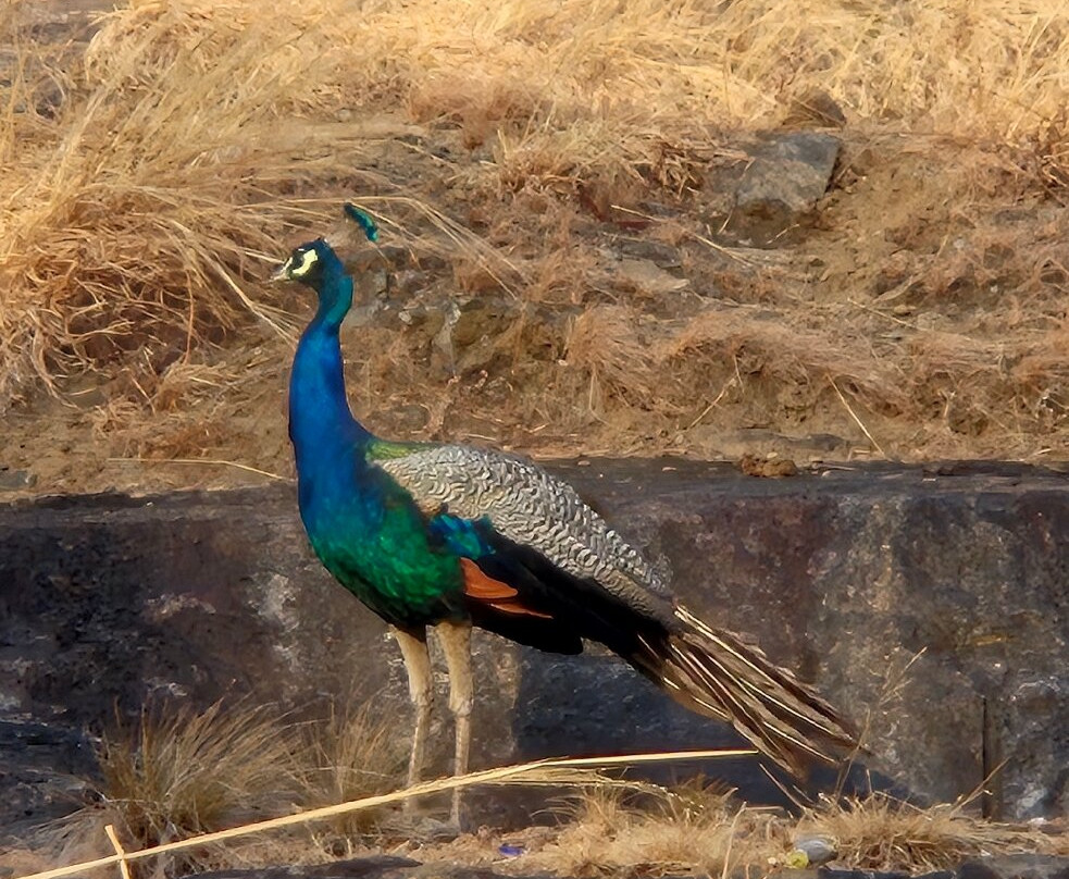 班咖拉瓦酒店主图