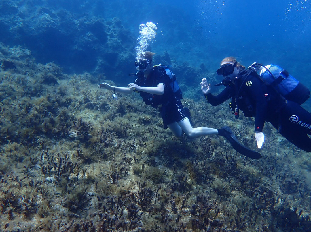 Dwejra Divers-圣劳伦斯必去景点