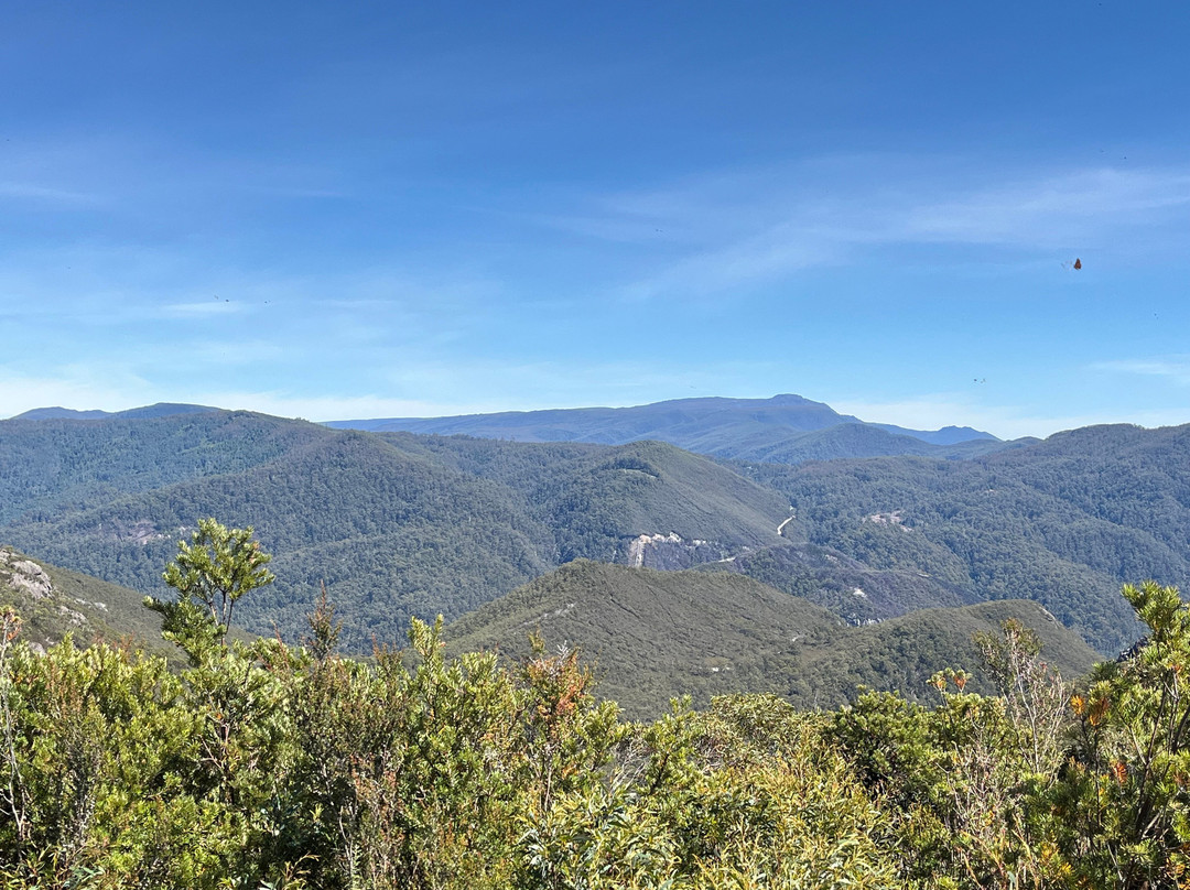 Round Mountain Lookout-Gowrie Park必去景点