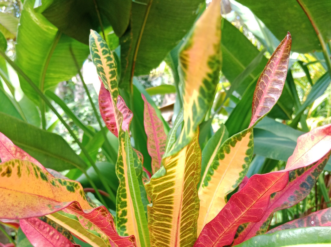 Siem Reap Private Tours-暹粒必去景点