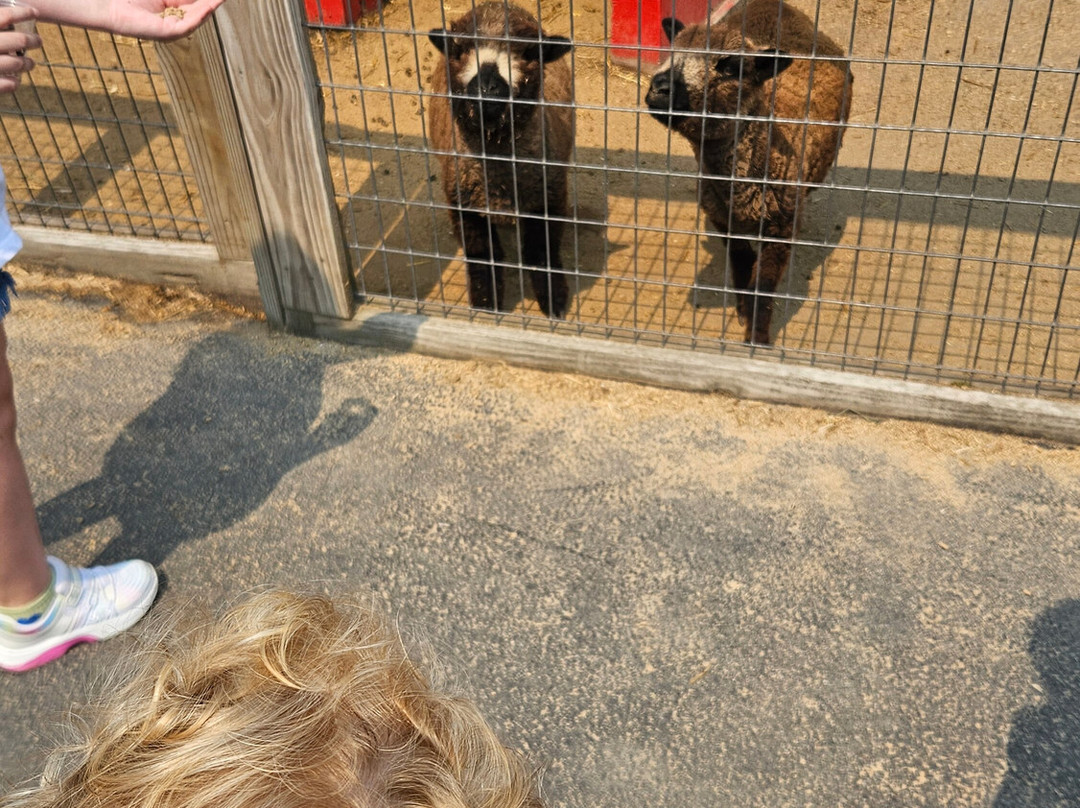 Santa's Village Amusement & Water Park-East Dundee必去景点