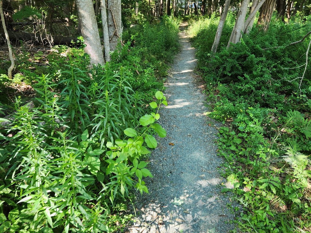 阿卡迪亚酒店主图