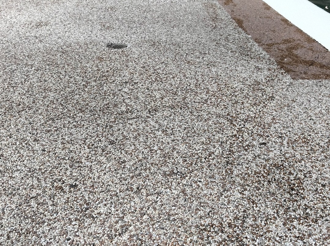 Best Western Sault Ste. Marie主图