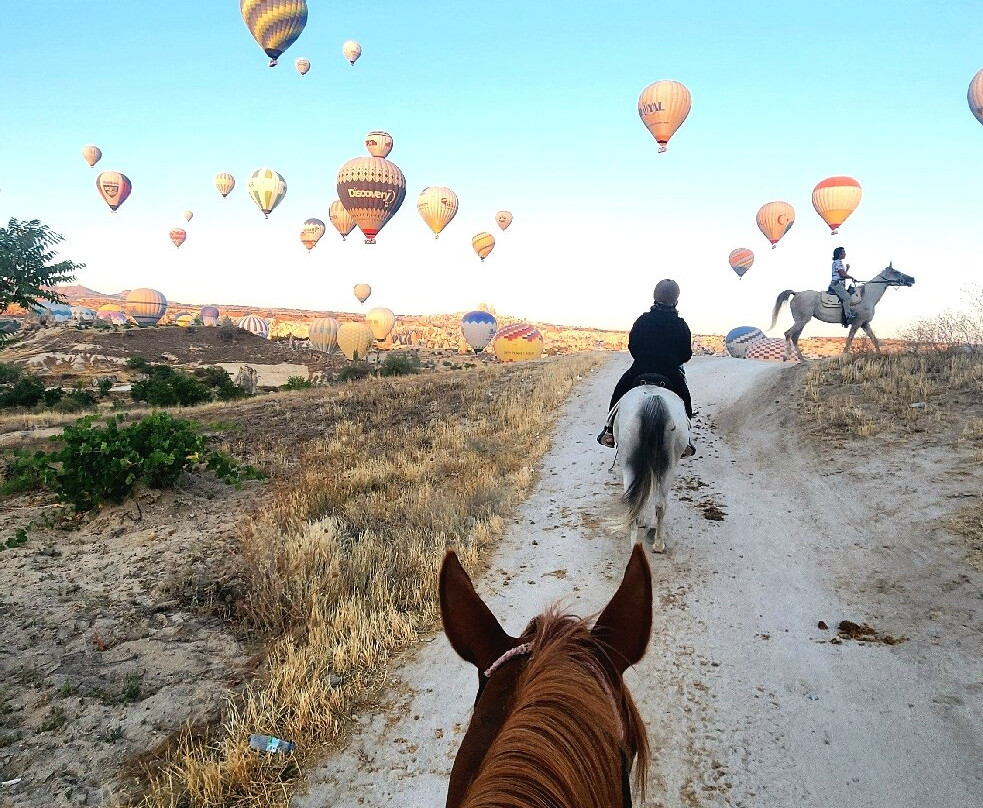 The Dalton Brothers Horse Riding Tours-格雷梅必去景点